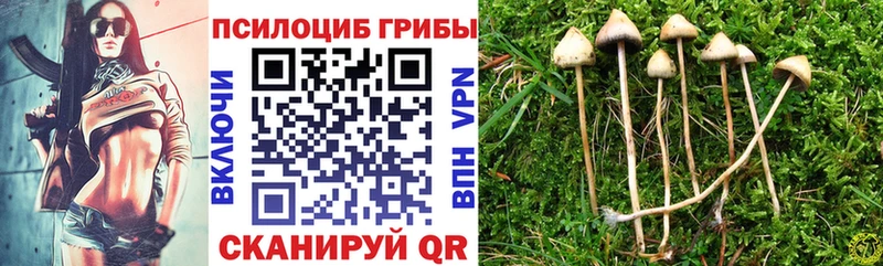 Галлюциногенные грибы Psilocybine cubensis  Серов 